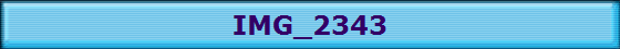 IMG_2343