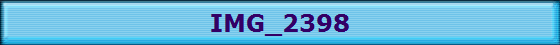 IMG_2398