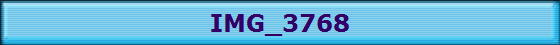 IMG_3768