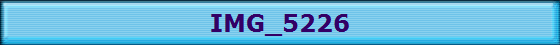 IMG_5226