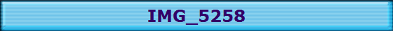 IMG_5258